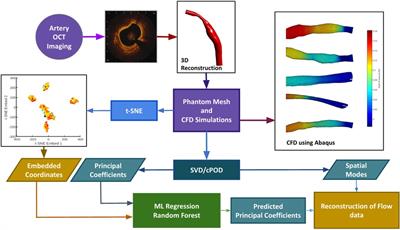 A physics-based machine learning technique rapidly reconstructs the wall-shear stress and pressure fields in coronary arteries